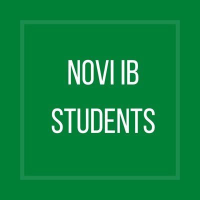 Information about the 2023-2024 IB students and their projects