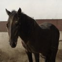 Sherry Blaine - @SherryBlaine19 - Twitter