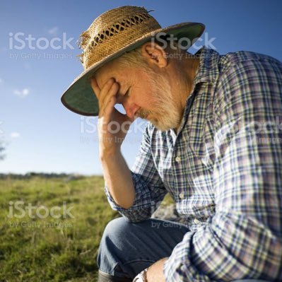 EVILfredfarmer's profile picture. draynor village more like drainer village