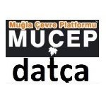 MUCEP Datca #DatçayıSavunuyoruz DoğalKalsın 🌿(@MucepD) 's Twitter Profile Photo