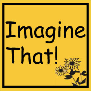 Imagine That! represents leading product lines & brands to retailers in the TOLA Region, MINK Region, West Coast Region, as well as the Rocky Mountain Region.