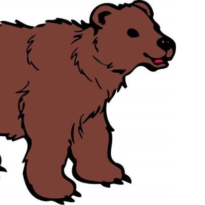 TeddBear Profile