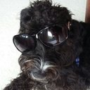 Daniel Stanfield - @DanielStanfie20 - Twitter