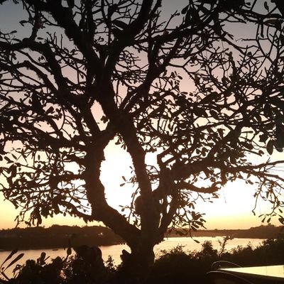 tesspwambui's profile picture. Vibeeeeeeeees!!!