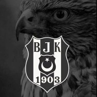 Bekir Çolak (@cinarinyo) Twitter profile photo
