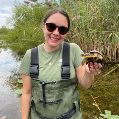 #HERper 🐢 and MSc student at McMaster U studying landuse impacts on stream environments across southern Ontario