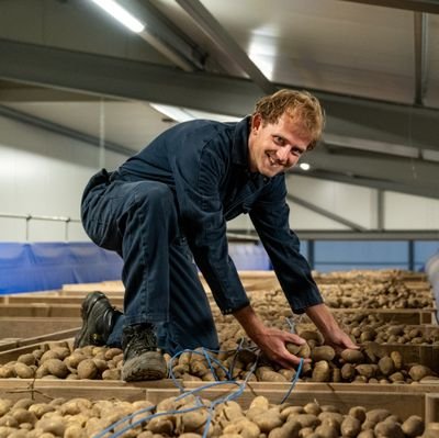 Landbouwbedrijf Verwer. 
Teelt van Pootaardappelen, Uien, Peen, Suikerbieten en Tarwe