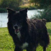 WWPD (@byebyebiden22) Twitter profile photo