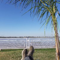 Sebastian 👨‍🏫 ₿ (@rulomirand) 's Twitter Profile