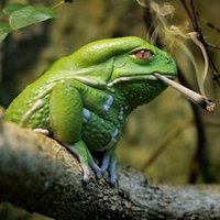 Drakenz (@drakenz6) 's Twitter Profile