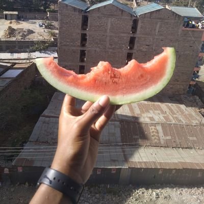 Cardanian_'s profile picture. |Web 2.0 ➡️ Web 3.0 dev|
|10,000 iterations is greater than 10,000 hours|
🇰🇪