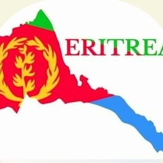 MerkebNebi's profile picture. 