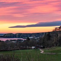 Sandra Cockburn (@sandracockburn6) 's Twitter Profile