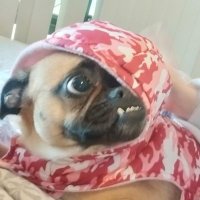 Life as Rini (@rini_life) 's Twitter Profile Photo Life as Rini (@rini_life) 's Twitter Profile Photo