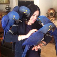 Magaly Vallejo (@magalyvalu) 's Twitter Profile Photo