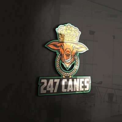 247_canes Profile Picture