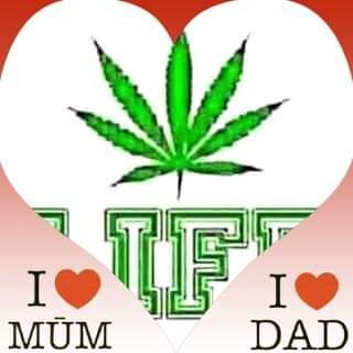 Young Hustler with love ♥️ Respect.
🍀☘️ Canibus 🍀☘️ weed
Raster life style 🌻🍀
in Jah I believe 🙏🙏🍁🍄🏥