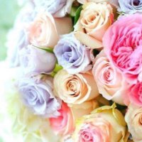 ﺣ͠ــفـــصــة 💕 (@fasi__t) Twitter profile photo