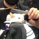 Casper Serrano - @stoneyjoey420 - Twitter