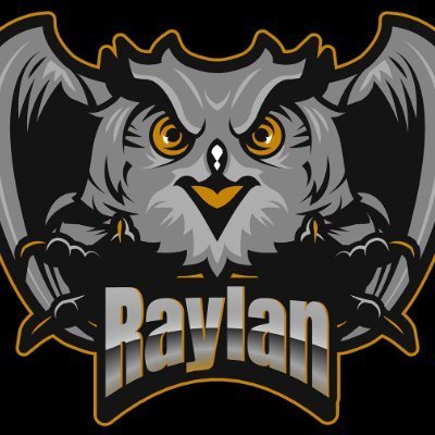 RaylanGaming's profile picture. Here to represent all the below average gamers on the squad. Every squad needs some one to blame and I'm that guy, however with out us, the squad would fall apa