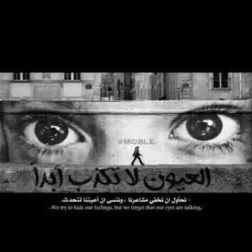 hn58613379's profile picture. لاتستغفلني
               ولا تكذب علي