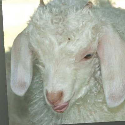 aniw89's profile picture. 