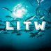 LITW (@lifeinthewaves) Twitter profile photo LITW (@lifeinthewaves) Twitter profile photo