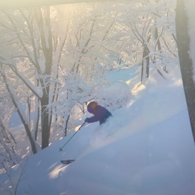 daisuke174's profile picture. 新潟県