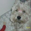 daniel farroni - @danyfarroni - Twitter