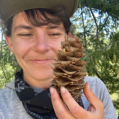 I'd rather be a forest than a street...
Researcher at UC Berkeley studying #forest and #fire ecology.