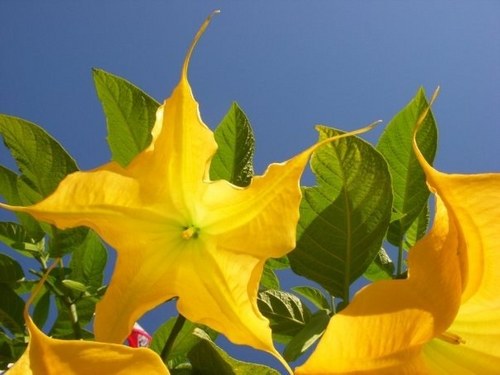 Terrilct's profile picture. 