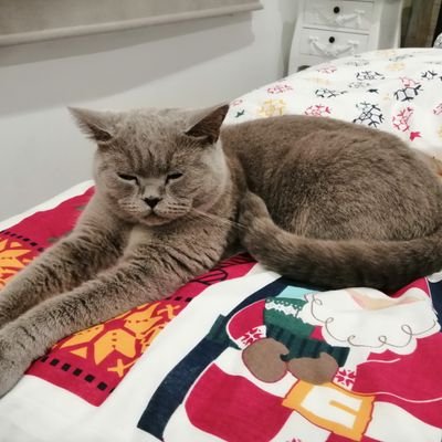 ErzsebetKajtar's profile picture. 😊😊😊