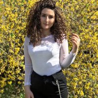 Shea (@sheasherr) 's Twitter Profile