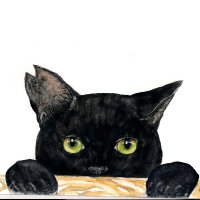 みなねこの会 (@minanekonokai) 's Twitter Profile