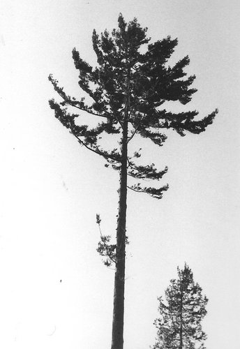 OliverJRobson's profile picture. 