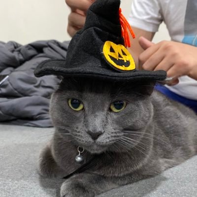 CadyBelkin's profile picture. The roof is not my son, but I will raise it.
