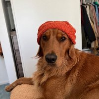 Cobalt Q (@michael62307173) 's Twitter Profile Photo Cobalt Q (@michael62307173) 's Twitter Profile Photo