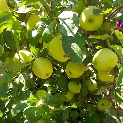 erkeklere çıkar para için aşkım diyen bayanlar uzak durun