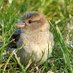 Moineau (@valatinette) Twitter profile photo Moineau (@valatinette) Twitter profile photo