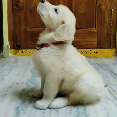 Sb4crazy's profile picture. Proud father. Tweets are personal.