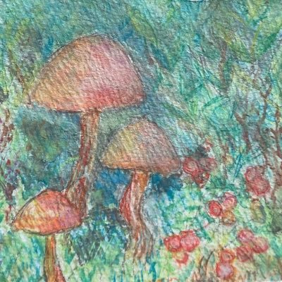 こぐも(koghumo)さんのプロフィール画像