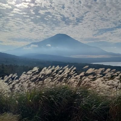 udontabeni's profile picture. 聞こえている振りしがち。恋の歌は全て妄想です。無言フォローお許しください。フォロー、リポスト等ご自由に。フォロバとても遅くなりがち。短歌は2022年10月27日から。
2024年3月N短入選。第25回若山牧水青春短歌大賞佳作入選