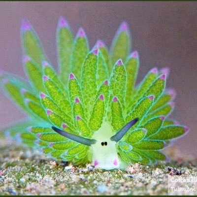 Hir_0208's profile picture. 2008〜嵐(大野智)、2017〜米津玄師(米民)、2019〜ラグビー(リーグワン日本代表全力応援📣)、2020〜BTS(嵐ロス中の衝撃的な出会い私の胸の中心にはいつでも防弾少年団テテジン寄りオルペン)、2023〜バスケ(沖縄のW杯で河村くんのプレーに惚れました)、2024〜NCTWISHも応援(娘がシズニ)