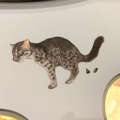 ruyugomng1's profile picture. 生物全般に好きです。
ヒメフチトリゲンゴロウの繁殖に燃えています。