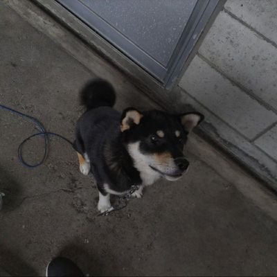 0604luluP's profile picture. 趣味 野球を観ること、野球に関するデータ集め

特技 高校野球関連の記憶力