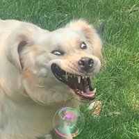 Odoth (@koopynation) 's Twitter Profile Photo Odoth (@koopynation) 's Twitter Profile Photo
