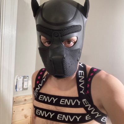 Tobyone7567's profile picture. I’m a shy bi male how loves gaming as much as going outdoors.I’m always looking to meet new people near me to hang out and have fun.