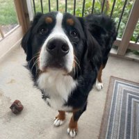 Jordan Richards (@jordanrrichards) 's Twitter Profile