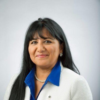 SE Director, National Association of Latino Elected and Appointed Officials (NALEO) Educational Fund, Former Brevard County Commissioner, Deputy Mayor Palm Bay