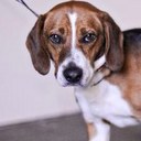 Mike Bang - @FullCircleMike - Twitter